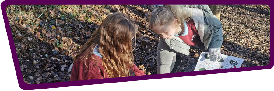 Primary school pupils at Venerable Edward Morgan School