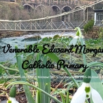 VEM Newsletter 3 ~ 2025-2026 ~ 16 Jan 2026